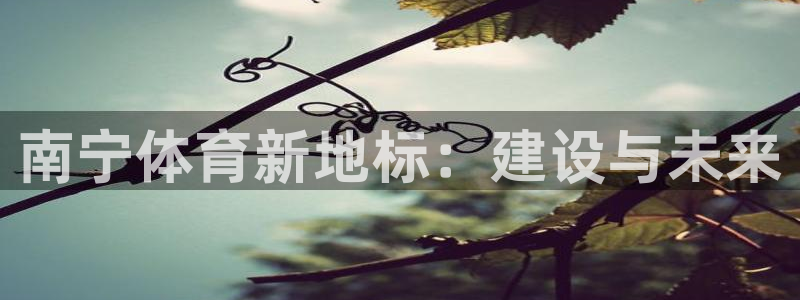 zoty中欧体育平台：南宁体育新地标：建设与未来