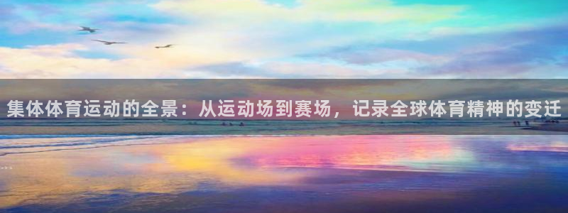 中欧ee招生：集体体育运动的全景：从运动场到赛场，记录全球体育精神的变迁