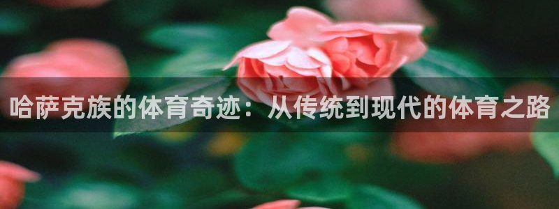 zoty中欧体育平台：哈萨克族的体育奇迹：从传统到现代的体育之路