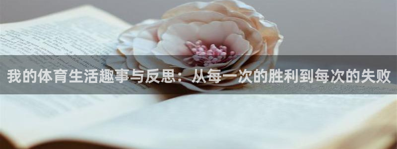 中欧蓝筹基金166002：我的体育生活趣事与反思：从每一次的胜利到每次的失败