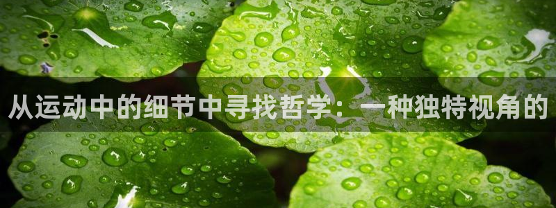 中欧年贸易额从24亿美元增长到2024年的：从运动中的细节中寻找哲学：一种独特视角的