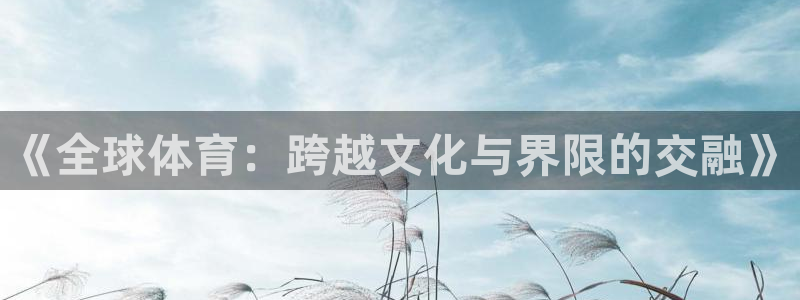 中欧内需成长基金010852：《全球体育：跨越文化与界限的交融》