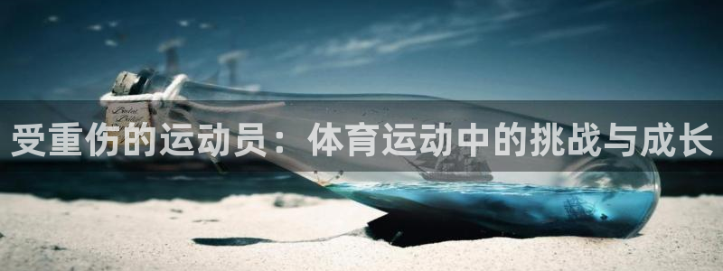 中欧瑾通灵活配置混合C：受重伤的运动员：体育运动中的挑战与成长