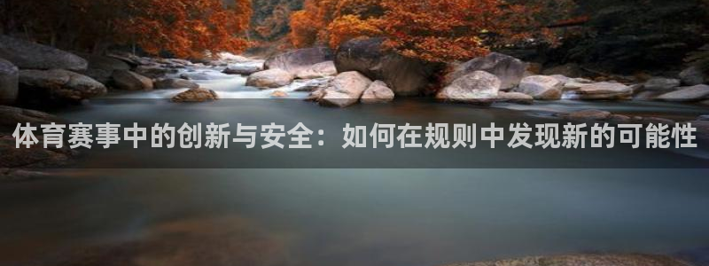 中欧ceo班学费多少：体育赛事中的创新与安全：如何在规则中发现新的可能性