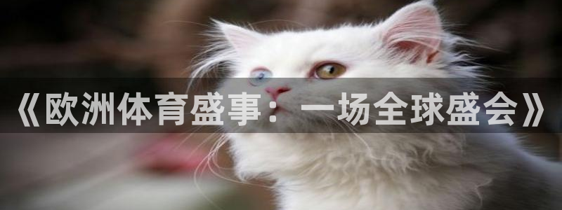 中欧班列途径哪些国家：《欧洲体育盛事：一场全球盛会》